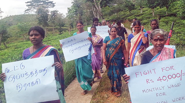 Tea estate workers continue strike for 1000 rupees per day